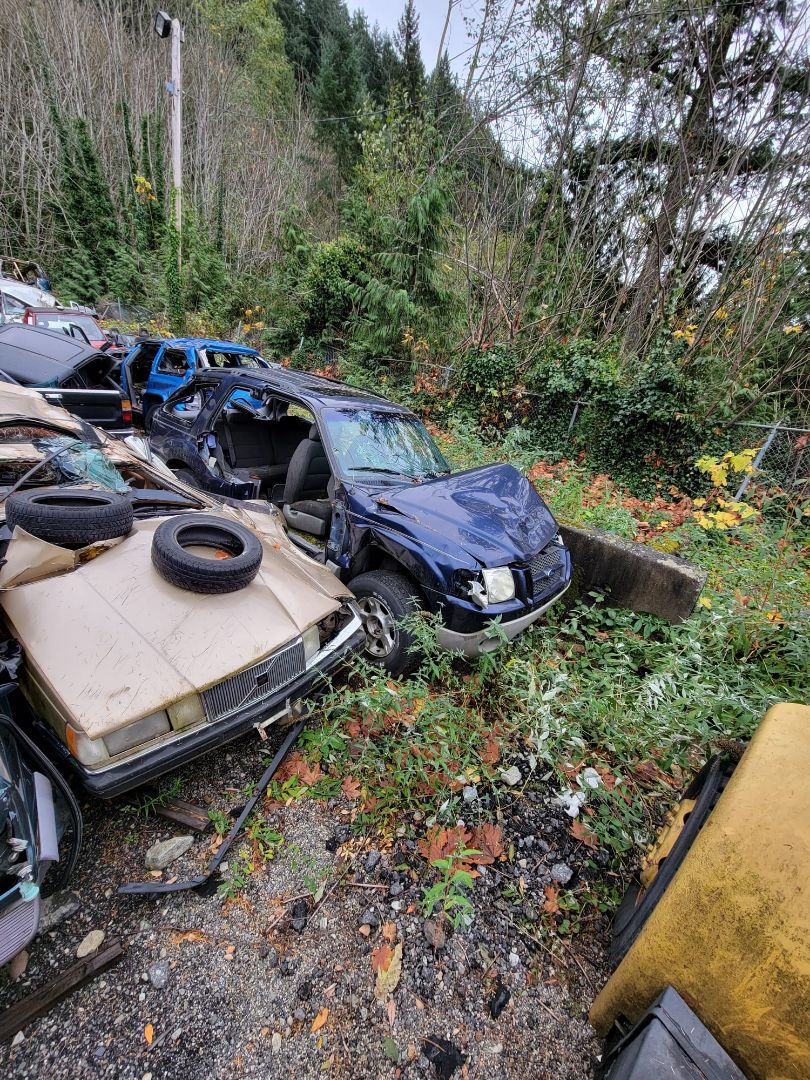 Junk cars scrapped in a bush